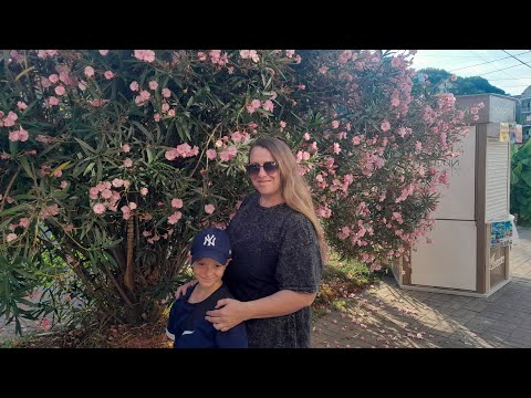 Видео: ПРИЕХАЛИ В ЛАЗАРЕВСКОЕ😍/ КУПАЕМСЯ В 6 УТРА🥰/ ГОСТЕВОЙ ДОМ ЭВЕЛИНА🥰/ СТОЛОВАЯ МИНУТКА НЕ У ТАМАРЫ🍳