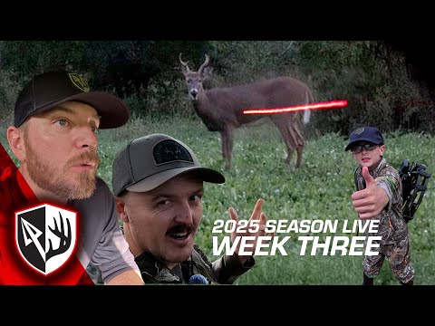 Видео: Выстрел! Обновление 3-й недели охоты с луком