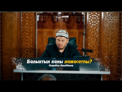 Видео: Балыктын каны нажасатпы? Олжобай Алимбеков