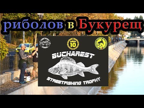 Видео: Състезание по уличен риболов 2019 Bucharest Streetfishing Trophy 10