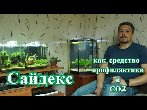 Видео: #Сайдекс как средство профилактики и СО2.