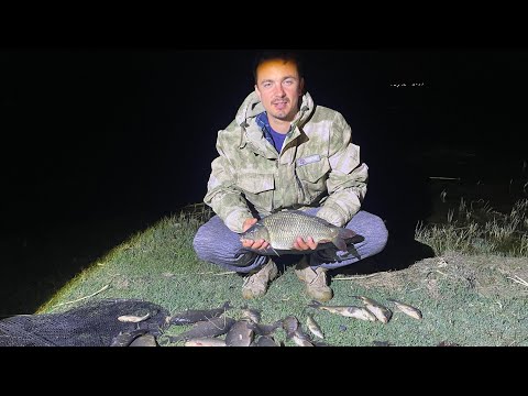 Видео: Осенний карп 06.09.2025 г. Удачная рыбалка. Поклевка за поклевкой.