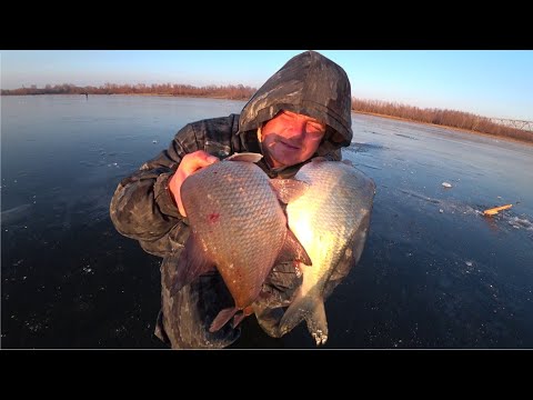 Видео: Рыбалка в мороз. Ловля Леща на красного червя со льда