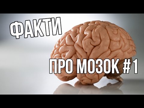 Видео: ФАКТЫ О МОЗГ