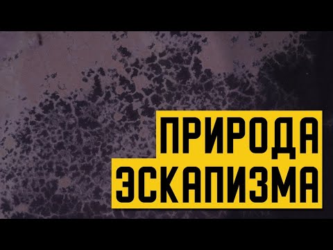 Видео: Как и зачем ты УБЕГАЕШЬ ОТ РЕАЛЬНОСТИ
