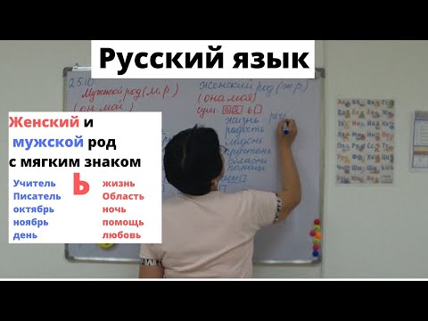 Видео: Женский и мужской род с мягким знаком