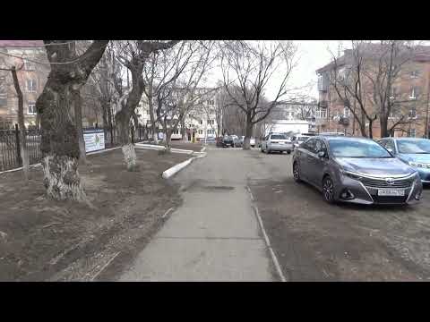 Видео: Весенний Уссурийск, начало апреля 2024 г.