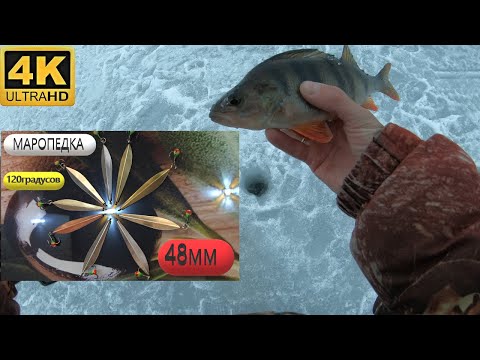 Видео: Маропедка 48мм 120 градусов. Уловистая блесна на окуня.