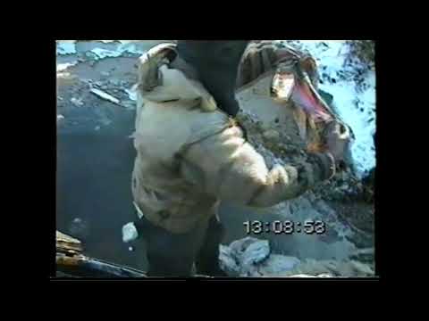 Видео: Достаём утонувший вездеход ГТТ. ХМАО, Талинка.Часть2/We take out the drowned GTT all-terrain vehicle