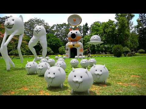 Видео: Самая безумная битва кошек в истории