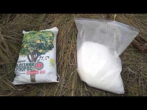 Видео: обработка грецкого ореха осенью, доступно и эффективно