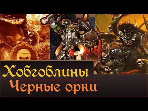 Видео: Хобгоблины и Черные Орки | Личности, История. Что мы возможно увидим в Total War Warhammer 3