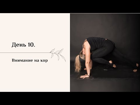 Видео: Внимание на кор #2