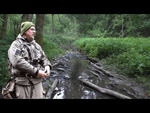 Видео: КОПНУЛ ЗЕМЛЮ И ПОСЫПАЛАСЬ ЧЕШУЯ
