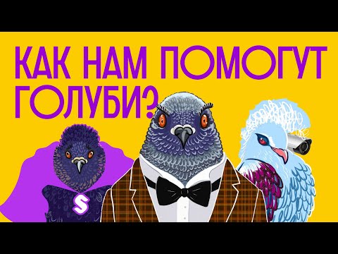 Видео: Голуби — ЛЕТАЮЩИЕ КРЫСЫ или супергерои? / Редакция.Наука