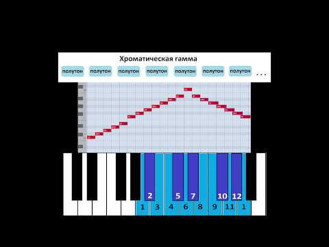 Видео: Целотоновая и хроматическая гаммы. Пояснения.