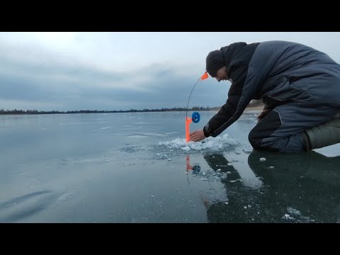 Видео: Рыбалка на Жерлицы зимой. Первые срезы.