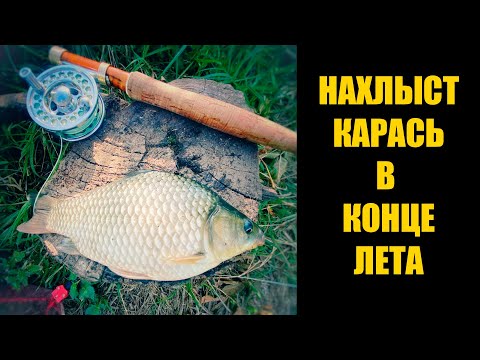 Видео: НАХЛЫСТ КАРАСЬ В КОНЦЕ ЛЕТА