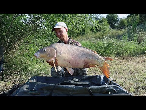 Видео: АКТИВНЫЙ КЛЁВ БОЛЬШИХ РЫБ 24 ЧАСА НА РЫБАЛКЕ