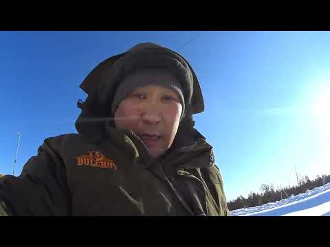 Видео: Глухариное 1 часть