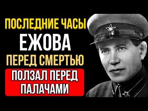 Видео: ПОСЛЕДНИЕ МИНУТЫ ЖИЗНИ ЕЖОВА: как пытками ломали и унижали главу НКВД перед его расстрелом