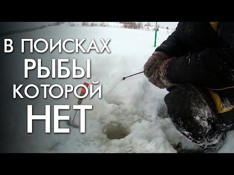 Видео: В ПОИСКАХ РЫБЫ КОТОРОЙ НЕТ