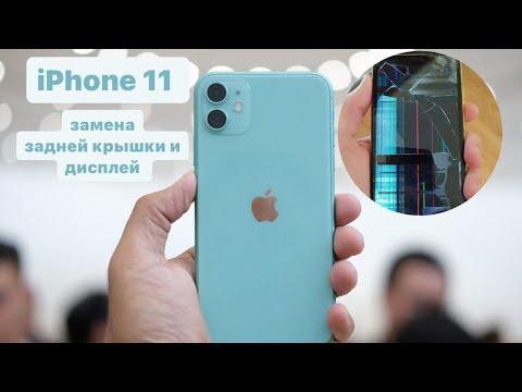 Видео: iPhone 11 замена задней крышки и дисплея