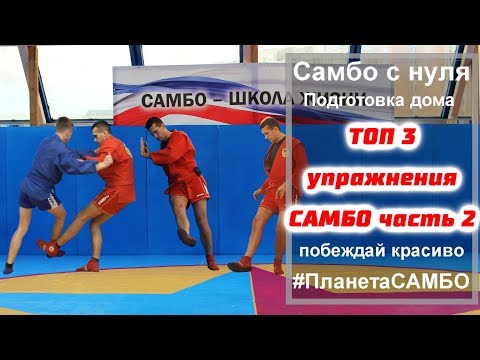 Видео: ТОП 3 упражнения самбо для дома часть 2