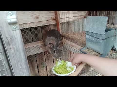 Видео: Вечерний влог от 26.10.2025