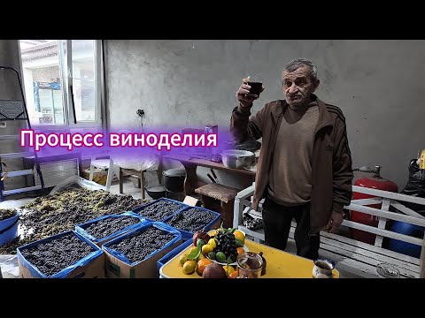 Видео: #Абхазия2025 #Черкез777