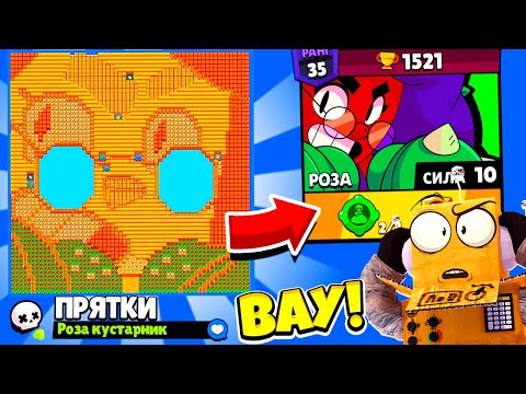 Видео: ПРЯТКИ НА КАРТЕ РОЗЫ! НОВЫЙ МИНИ РЕЖИМ BRAWL STARS! КОНЦЕПТ
