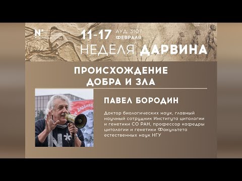 Видео: Павел Бородин о происхождении добра и зла. Неделя Дарвина в НГУ-2019