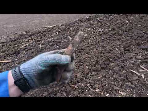 Видео: КОП МЕТАЛЛА 22.04.2025