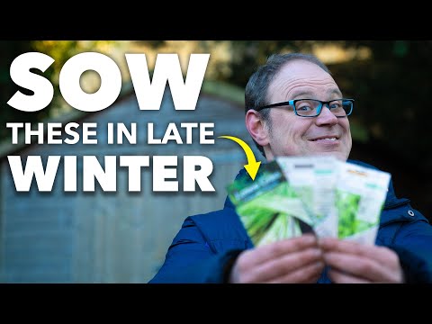 Видео: Вы должны посеять эти семена в конце зимы