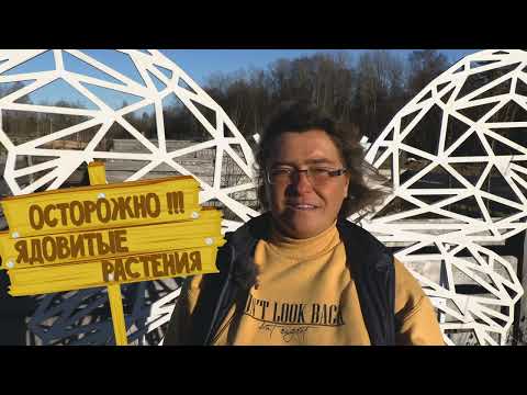 Видео: Сажать или не сажать ядовитые растения.