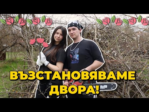 Видео: ОГРОМНА ПРОМЯНА В ДВОРА!🌳 Възстановяваме овошките и сеем НОВИ култури | Земята Живее