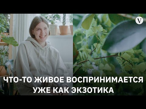 Видео: Оранжерея в спальне: в гостях у Мадам Фитиль I «Здесь я живу» I The Village