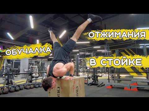 Видео: Как Научиться Отжиматься в Стойке на Руках?