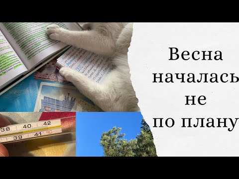 Видео: Март, простуда и общая психология