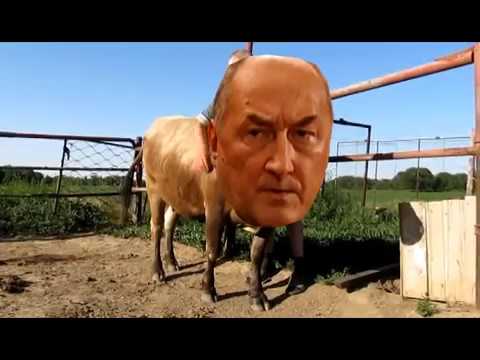 Видео: Воронины | RYTP 3