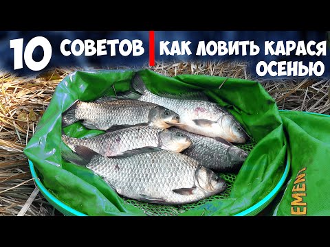 Видео: 10 СОВЕТОВ для РЫБАЛКИ на КАРАСЯ ОСЕНЬЮ. КАК ЛОВИТЬ КАРАСЯ в ХОЛОДНОЙ ВОДЕ