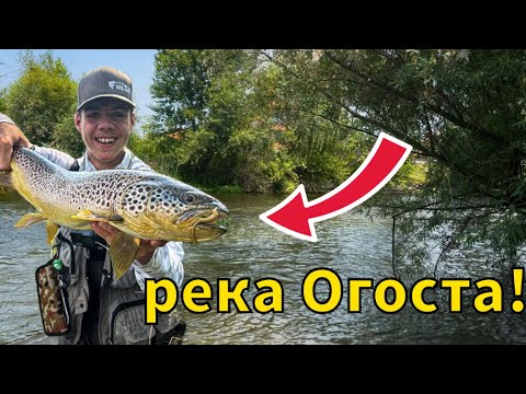 Видео: ХВАНАХ ТРОФЕЙНА ПЪСТЪРВА! НАМЕРИХМЕ ВЛАКНО в РИБАТА! РИБОЛОВ на ПЪСТЪРВА и ЩУКА на река Огоста!