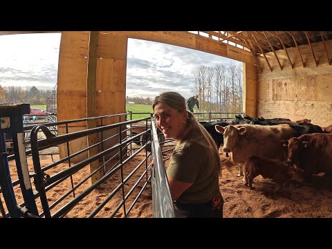 Видео: Прыгая на карусели Мэри