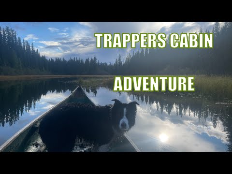 Видео: Жизнь в домике охотника в канадской глуши #хижина #автономный #охота