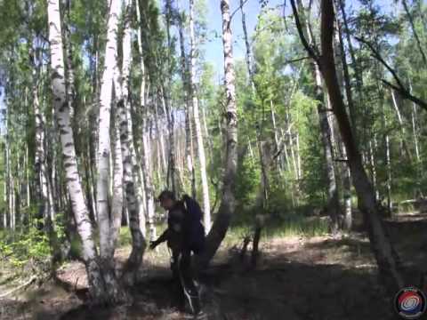 Видео: Экспедиция в Пьяный Лес (Ведьмин Лес)