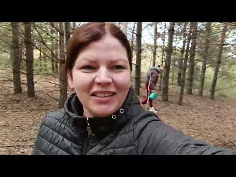 Видео: Света нет? Тогда за грибами!