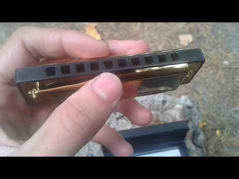 Видео: Губная гармошка с Алиекспрес