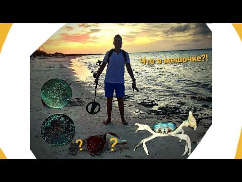 Видео: ЧТО в красном мешочке! Нашел ТАЛИСМАН! КОРАЛЛОВЫЙ РИФ, ДЕЛЬФИН-МАЭСТРО!