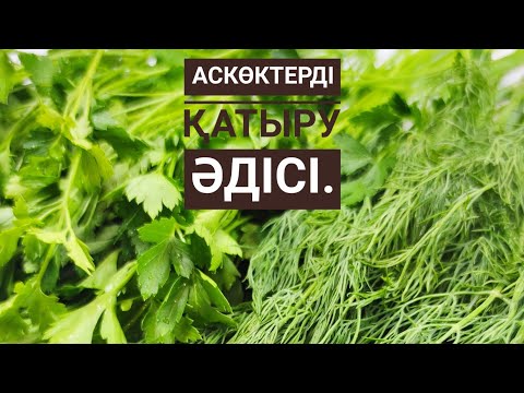 Видео: Қысқа Аскөкті сақтау / Заготовка зелени на зиму/ Қазақша.