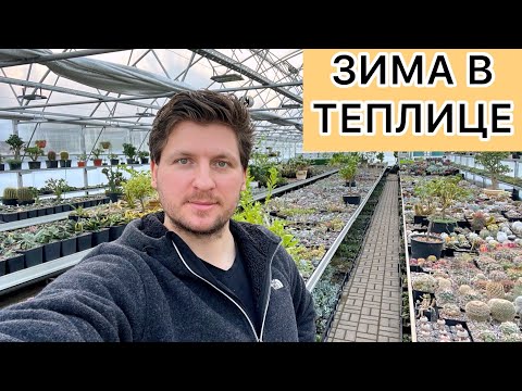 Видео: Чем заняться в теплице зимой. Кактусы и суккуленты на зимовке.